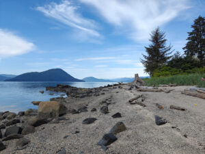 Petroglyph Beach
