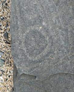 Petroglyph Beach