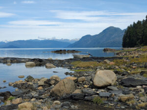 Petroglyph Beach