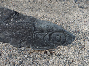 Petroglyph Beach