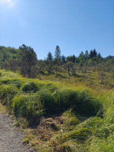 Hungry Point Trail