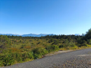 Hungry Point Trail