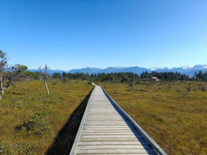 Hungry Point Trail