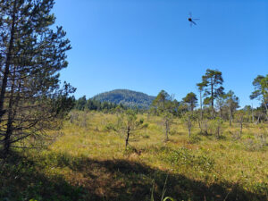 Ravens Roost Trail