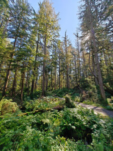 Ravens Roost Trail