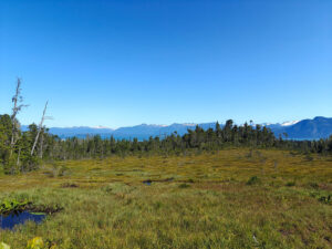 Frederick Sound Overlook