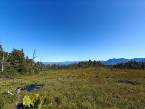 Frederick Sound Overlook