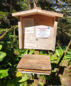 Warnung vor Schwarzbären und Wölfen