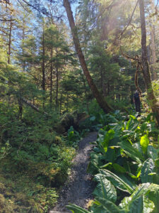 Ravens Roost Trail