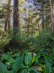 Ravens Roost Trail