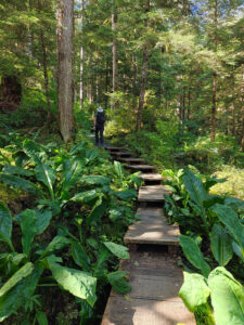 Ravens Roost Trail