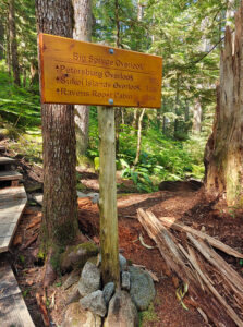 Big Spruce Overlook
