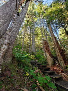 Ravens Roost Trail
