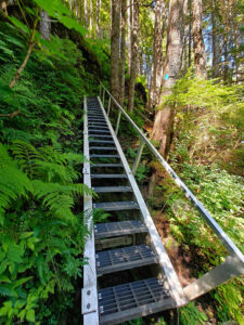 Ravens Roost Trail