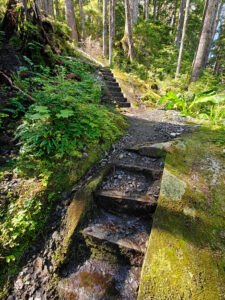 Ravens Roost Trail