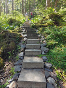 Ravens Roost Trail
