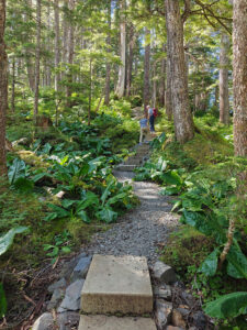 Ravens Roost Trail
