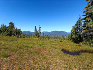 Ravens Roost Trail