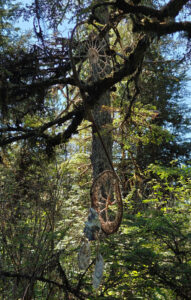 Ravens Roost Trail