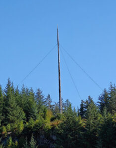 Totem vom Hafen aus