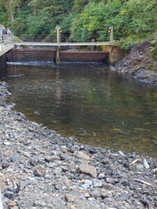 Gunnok Creek Hatchery
