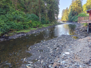 Gunnok Creek