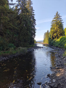 Gunnok Creek