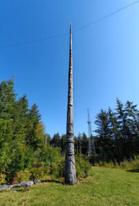 höchster Totem aus einem Stamm