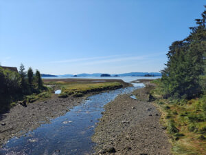 Gunnok Creek