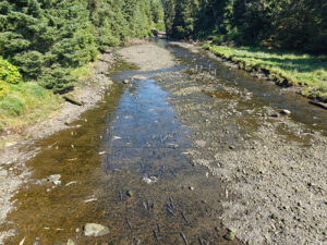 Gunnok Creek