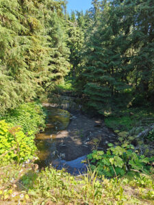 Little Gunnok Creek