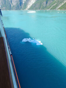 Fahrt durch den Tracy Arm