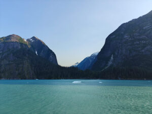 zurück durch den Tracy Arm