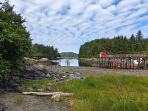 Elfin Cove
