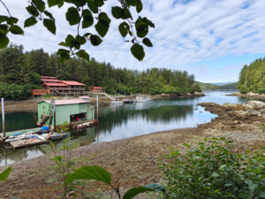 Elfin Cove