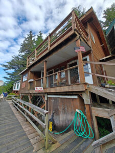 Elfin General Store