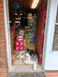 Liquor Store