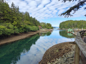 Elfin Cove