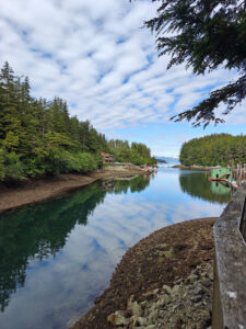 Elfin Cove