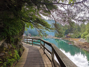 Elfin Cove