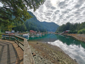 Elfin Cove