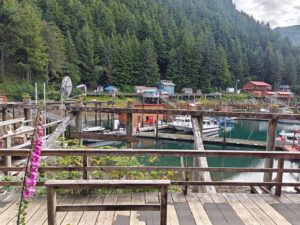 Elfin Cove