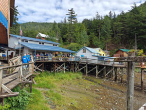 Elfin Cove