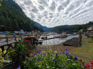 Elfin Cove
