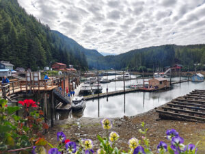 Elfin Cove