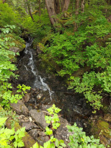 Wasserfall