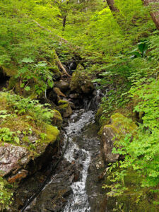 Wasserfall