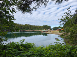 Elfin Cove