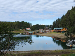 Elfin Cove