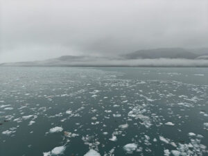 Icy Bay